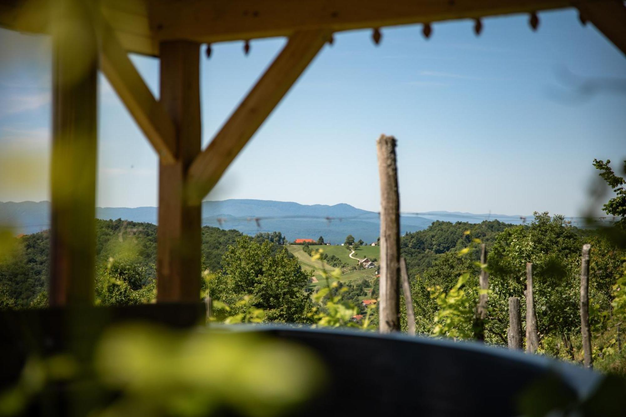 Ferienhaus Vineyard Skatlar 3 Otočec