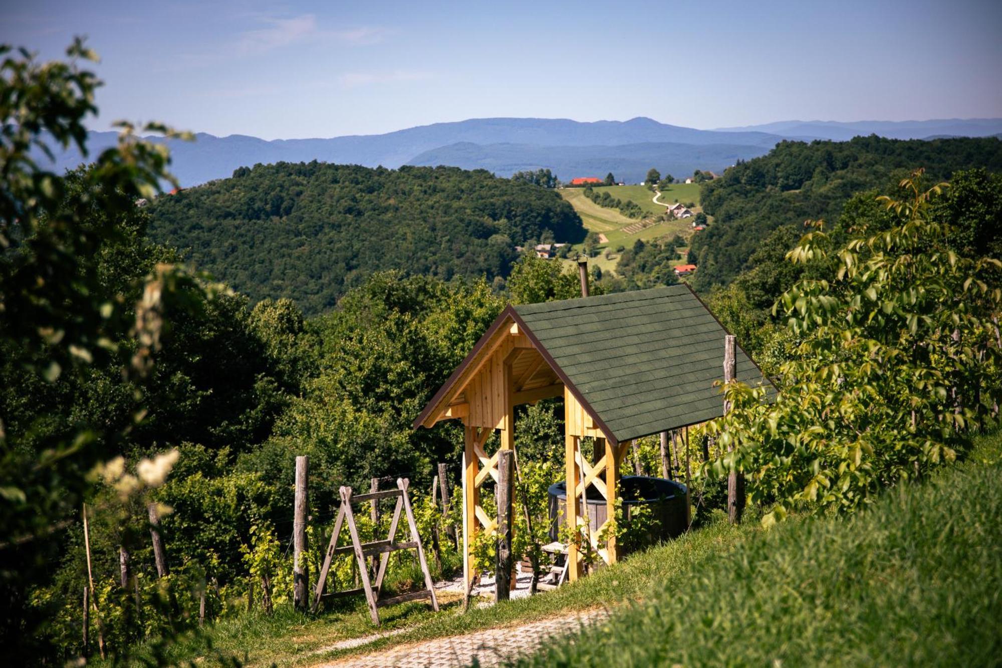 Vineyard Skatlar 3